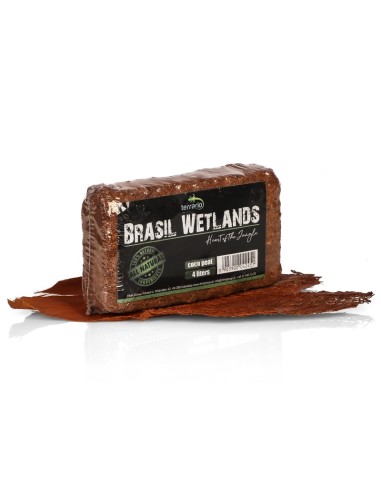 Terrario Brasil Wetlands 4l - substrato in...