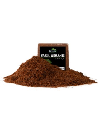 Terrario Brasil Wetlands 1.5l - substrato in...