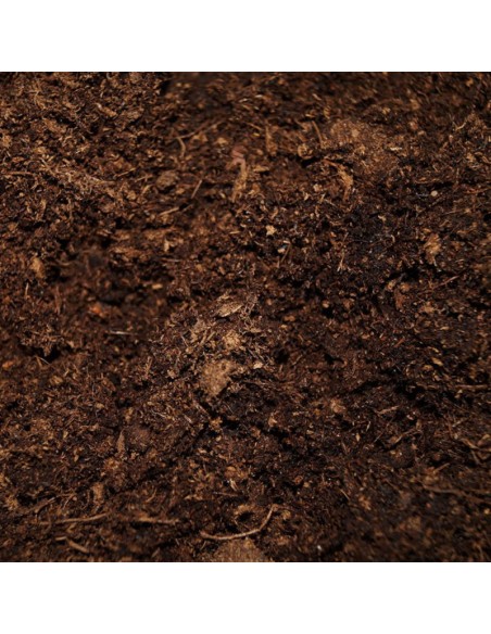 Lolo Pets Torba Fibra 4l