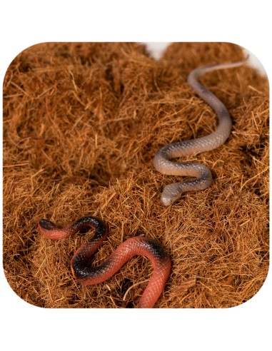 Terrario Terra Bedding 5l - substrato in fibra...