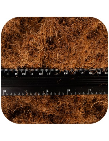 Terrario Terra Bedding 5l - substrato in fibra...