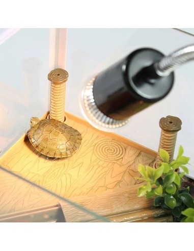 Terrario ReptiSun Long - lampada con supporto a...