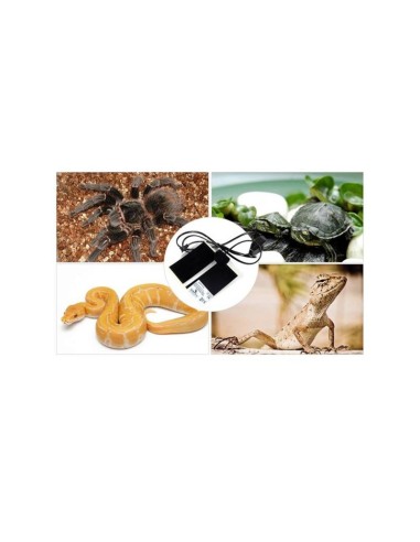 Terrario Premium Repti Pad 7W - tappetino...
