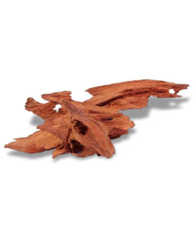 AMTRA LEGNO JATI – legno selezionato per...
