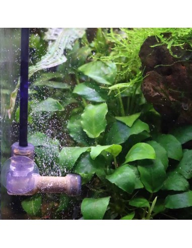 AMTRA CO2 SYSTEM - Kit completo con bombola da...