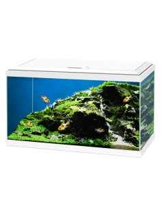 Acquario Ciano Aqua Led