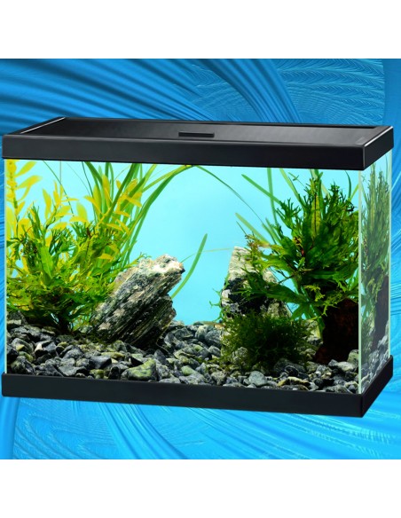 Acquario Ciano Aqua   Classic