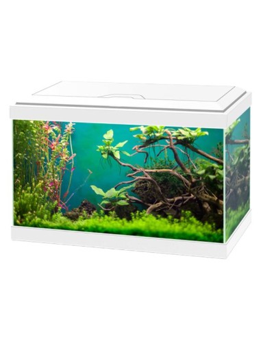 Acquario Ciano Aqua   Classic