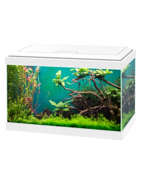 Acquario Ciano Aqua   Classic