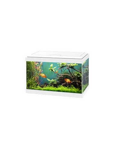 Acquario Ciano Aqua   Classic