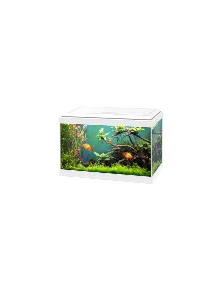 Acquario Ciano Aqua   Classic