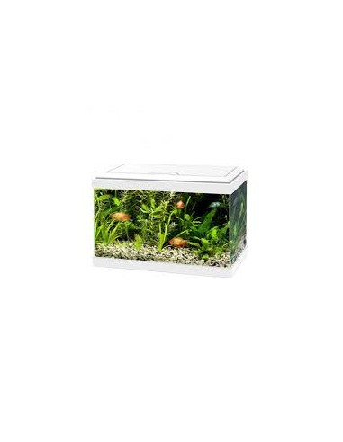 Acquario Ciano Aqua   Classic