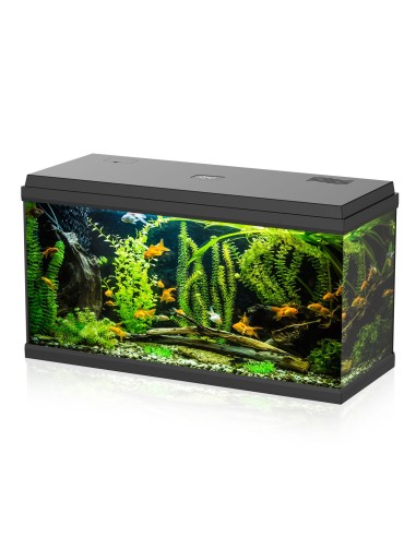 Acquario Aqpet Simply LED 100