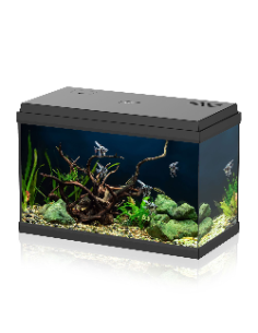 Acquario Aqpet Simply LED 60