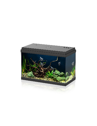 Acquario Aqpet Simply LED 60
