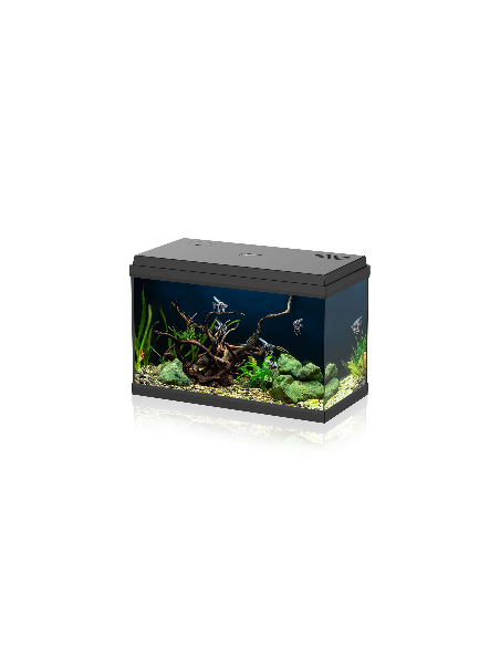 Acquario Aqpet Simply LED 60