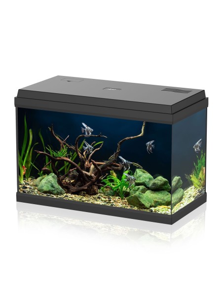 Acquario Aqpet Simply LED 60