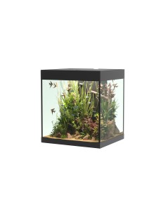 Acquario Askoll Opera 80 completo 2