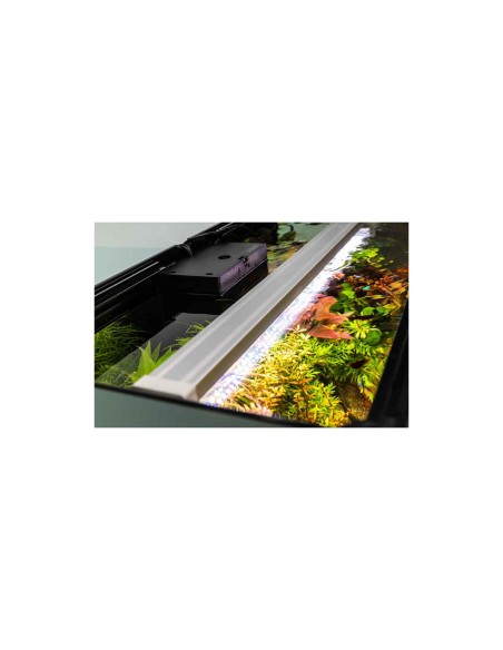 Acquario Askoll Opera 80 completo di supporto