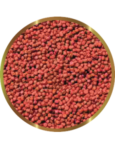 SHG - Premium Hi Red - Mangime in granuli 2