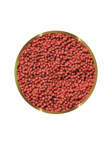 SHG - Premium Hi Red - Mangime in granuli