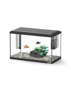 Sicce - Acquario Moby Dick 60 2
