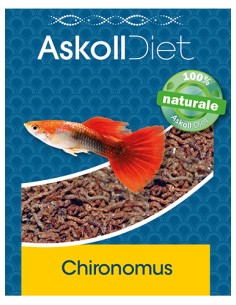 Chironomus (Larve di zanzara) - Askoll Diet