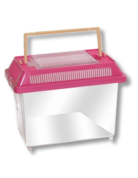 Amtra Boxlife mini cm. 17.5 X 11.0 X 14.5 – trasportino in plastica per pesci e piccoli animali / vaschetta di quarantena