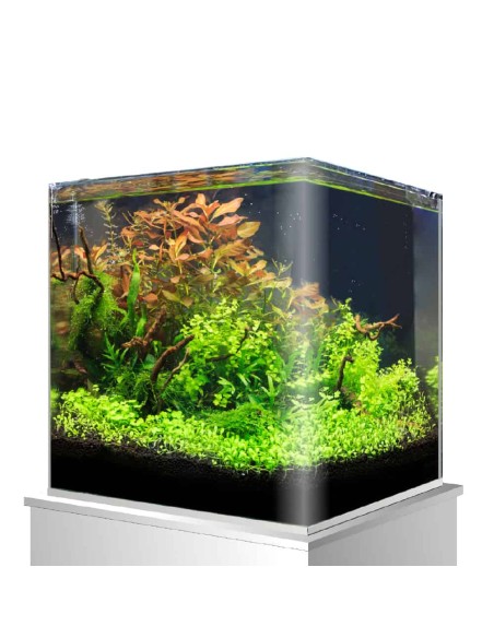 Acquario Amtra NanoTank cubo 60 litri - 38x38x43 cm vetro curvo con coperchio e sostegni trasparenti