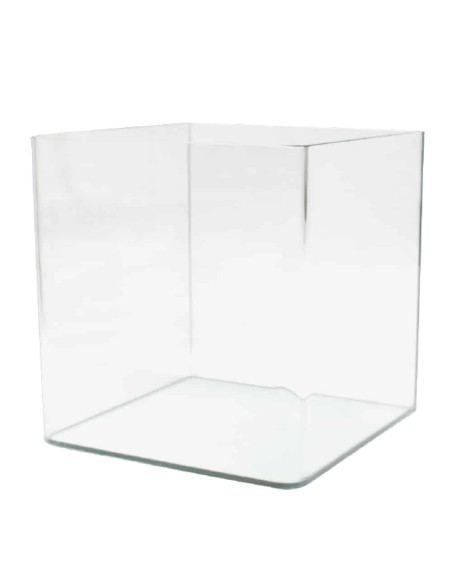 Acquario Amtra NanoTank cubo 60 litri - 38x38x43 cm vetro curvo con coperchio e sostegni trasparenti