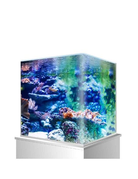 Acquario Amtra NanoTank cubo 60 litri - 38x38x43 cm vetro curvo con coperchio e sostegni trasparenti