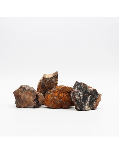 AMTRA ROCCIA PETRIFIED SM