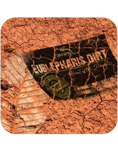 Terrario Eublepharis Dirt 1 kg - substrato per geco... 2