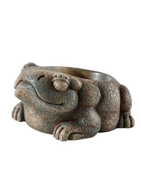 ExoTerra Dispenser per Acqua – Rana Azteca