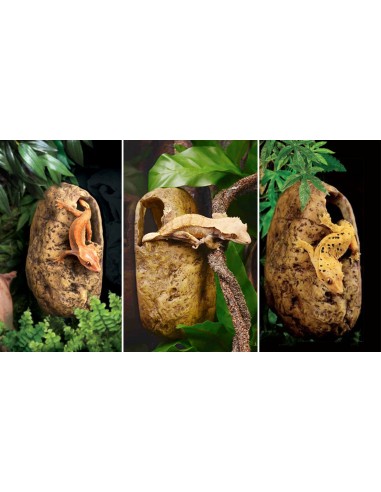 ExoTerra Canopy Cave - Grotta sopraelevata per...