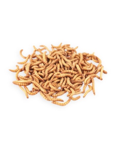 Tarme della farina small - Confezione 75 gr.