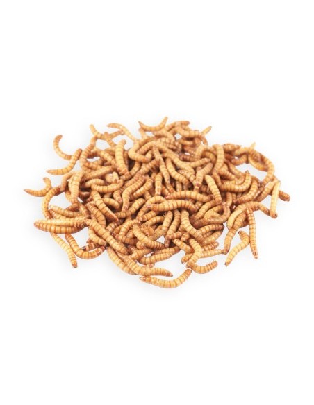 Tarme della farina small - Confezione 75 gr.