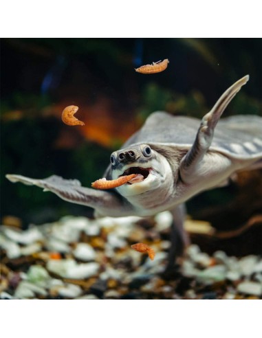 Nobleza cibo per tartarughe a base di gamberi...