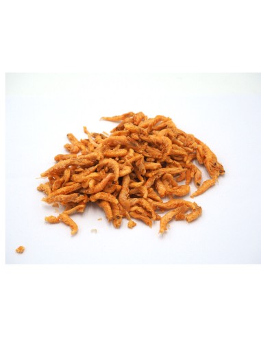 SHG Krill - Selezione di zooplankton marino
