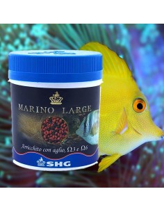 SHG - Premium Marino Large - 5000 mg. 2