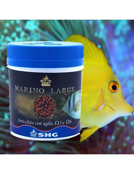 SHG Premium Marino Large - 500gr