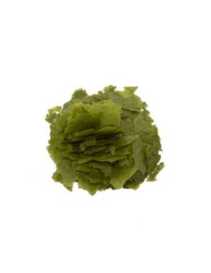 Spirulina in scaglie - Askoll Diet 2