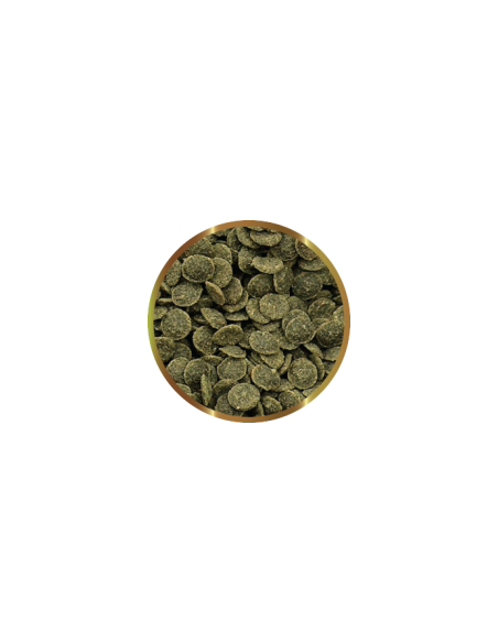 SHG  - Caridina Green Chips 25gr