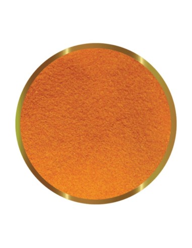 SHG Uova di Artemia Decapsulate 25gr - alto...