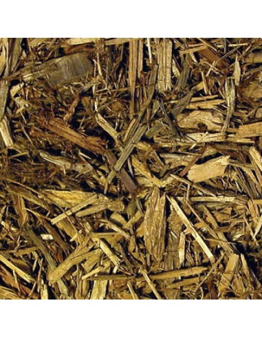 Zoomed Forest Floor - substrato naturale per...