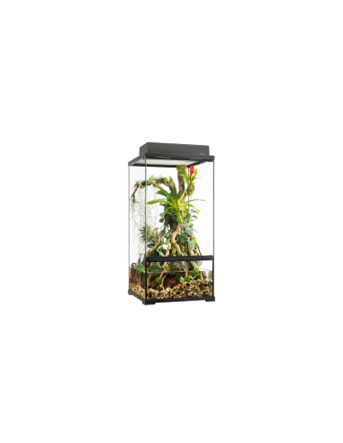 Pro Paludarium Small X-Tall - ExoTerra 45x45x90