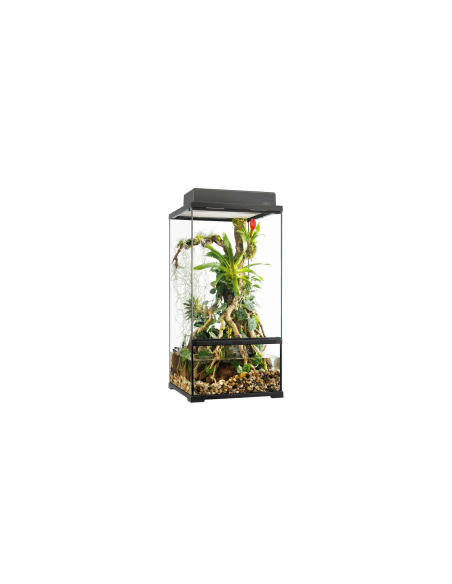 Pro Paludarium Small X-Tall - ExoTerra 45x45x90