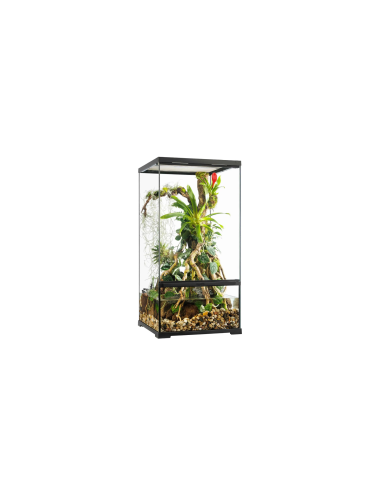 Pro Paludarium Small X-Tall - ExoTerra 45x45x90