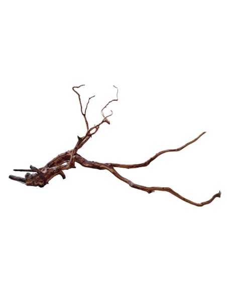 Legno decorativo per acquario e terrario Red Spider King M