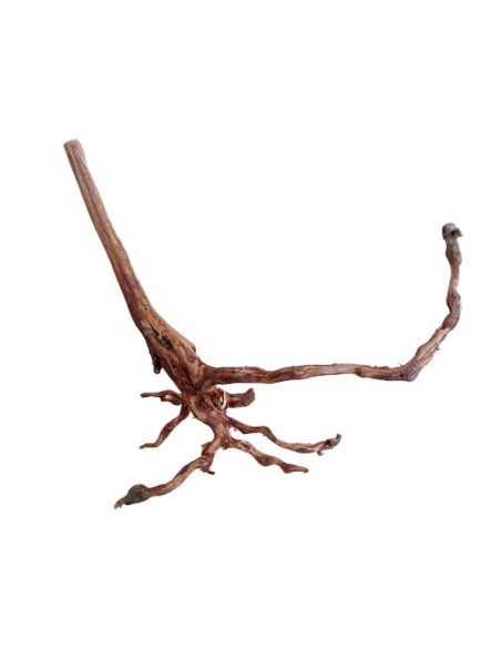 Legno decorativo per acquario e terrario Red Spider King M